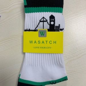 Spokane City Socks